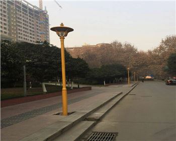 市電道路路燈-陜西西安西京醫院道路照明項目