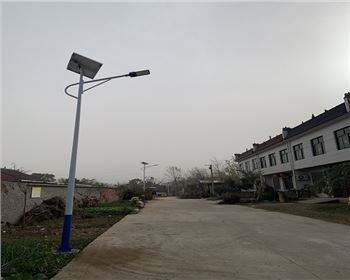 藍田縣熨斗村太陽能路燈項目