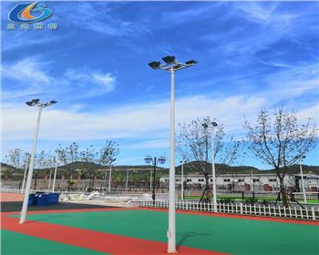 甘肅延安學校路燈照明項目